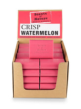 Load image into Gallery viewer, Tilley Scents Of Nature - Soap Bars 100g - Crisp Watermelon - ZOES Kitchen