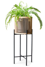 Load image into Gallery viewer, Salt&amp;Pepper Rhythm Plant Stand Natural 35x80cm - ZOES Kitchen