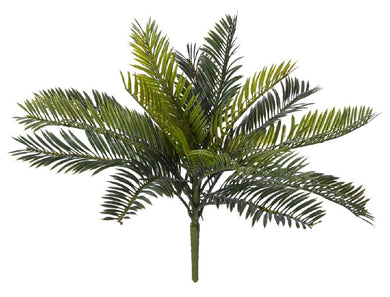Rogue Cycas Bush Mini 38x36cm Green - ZOES Kitchen