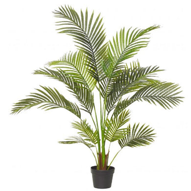 Rogue Areca Palm 90x90x120cm Gre - ZOES Kitchen