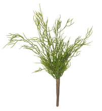 Load image into Gallery viewer, Rogue Mini Rhipsalis 20x25x40cm Green - ZOES Kitchen