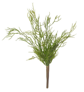 Rogue Mini Rhipsalis 20x25x40cm Green - ZOES Kitchen