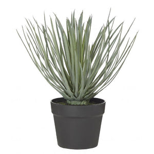 Rogue Spikey Grass GardenPot 38cm Grn - ZOES Kitchen