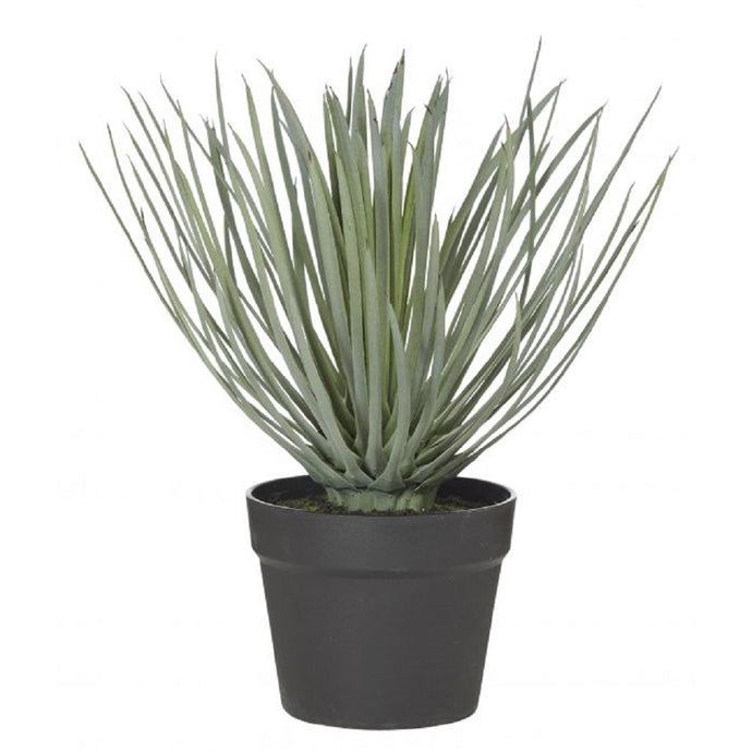 Rogue Spikey Grass GardenPot 38cm Grn - ZOES Kitchen