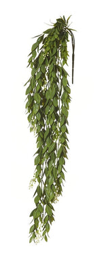 Rogue Flowering Trailing Hanging Bush Green 66cm - ZOES Kitchen