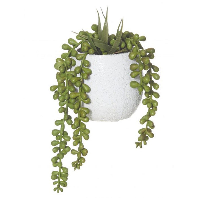 Rogue Hanging Pearls Tub Pot 23cm gr - ZOES Kitchen