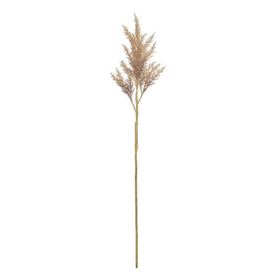 Rogue Astilbe Stem 16x14x82cm Brown - ZOES Kitchen