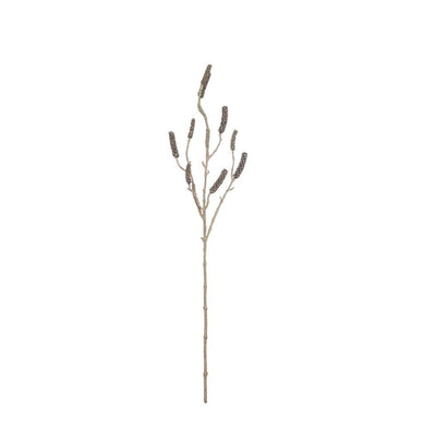 Rogue Callistemon Branch 16x12x89cm Brown - ZOES Kitchen