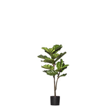 Load image into Gallery viewer, Rogue Fiddle Tree Delux 50x50x102cm Green - ZOES Kitchen