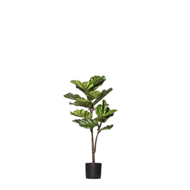 Rogue Fiddle Tree Delux 50x50x102cm Green - ZOES Kitchen
