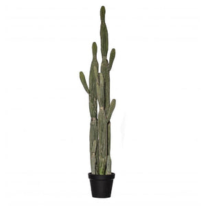 Rogue Saguaro Cactus Garden Pot 152cm Green - ZOES Kitchen