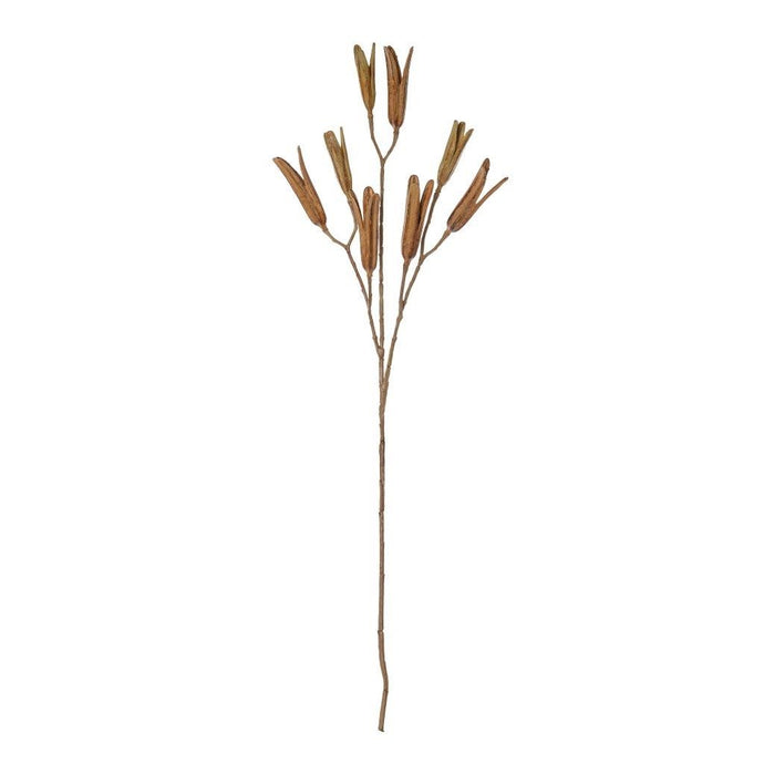 Rogue Lily Seed Pod Spray 79cm Brown - ZOES Kitchen