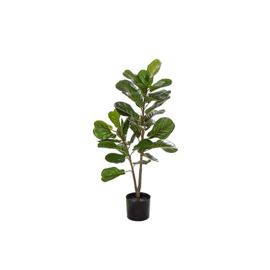 Rogue Fiddle Tree 50x50x90cm Green - ZOES Kitchen