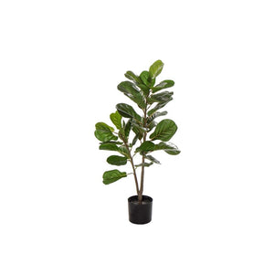 Rogue Fiddle Tree 50x50x90cm Green - ZOES Kitchen