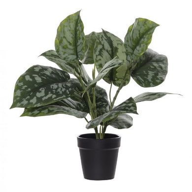 Rogue Aluminium Bush Garden Pot 0.35cm Grn - ZOES Kitchen