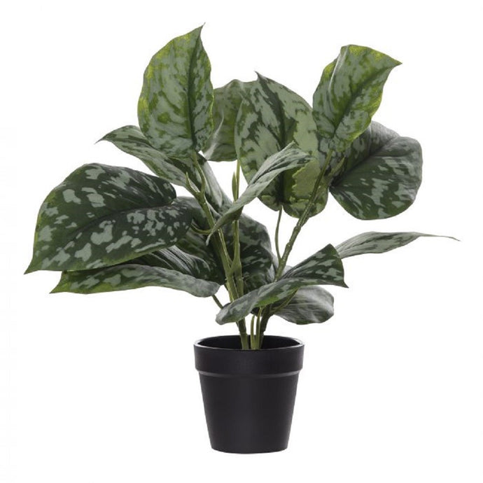 Rogue Aluminium Bush Garden Pot 0.35cm Grn - ZOES Kitchen