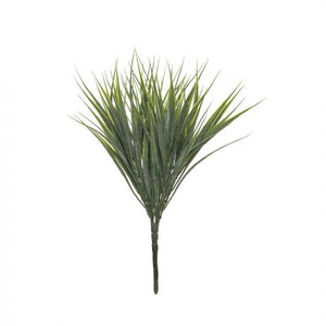 Rogue Vanilla Grass 33cm Green - ZOES Kitchen