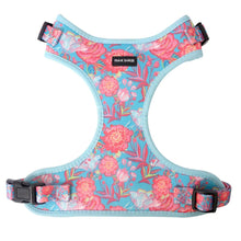 Load image into Gallery viewer, Frank Barker Harness Floral L