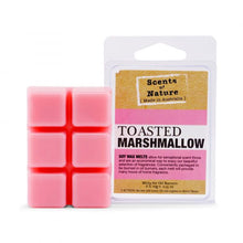 Load image into Gallery viewer, Tilley Scents Of Nature - Soy Wax Melts 60g - Toasted Marshmellow - ZOES Kitchen